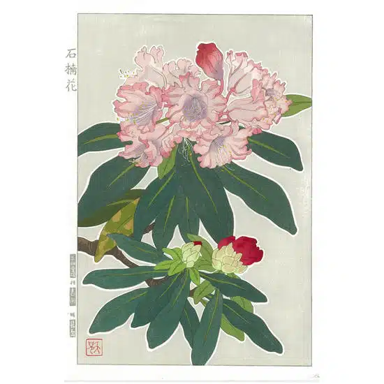 Teru Kuzuhara Spring Flowers Rhododendron Woodblock Print