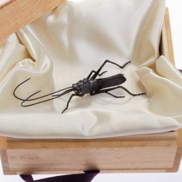 Antique Signed Bronze Jizai Articulated Grasshopper