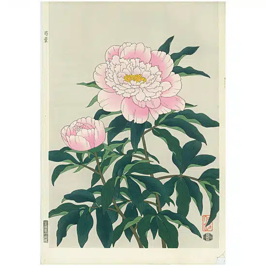 Nisaburo ITO Woodblock Pink Peony