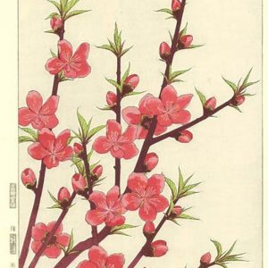Kawarazaki Shodo Flowering Peach Woodblock Print