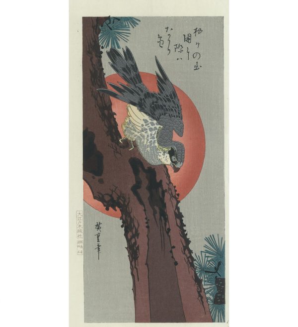 Hiroshige Woodblock Hawk On Pine Tree