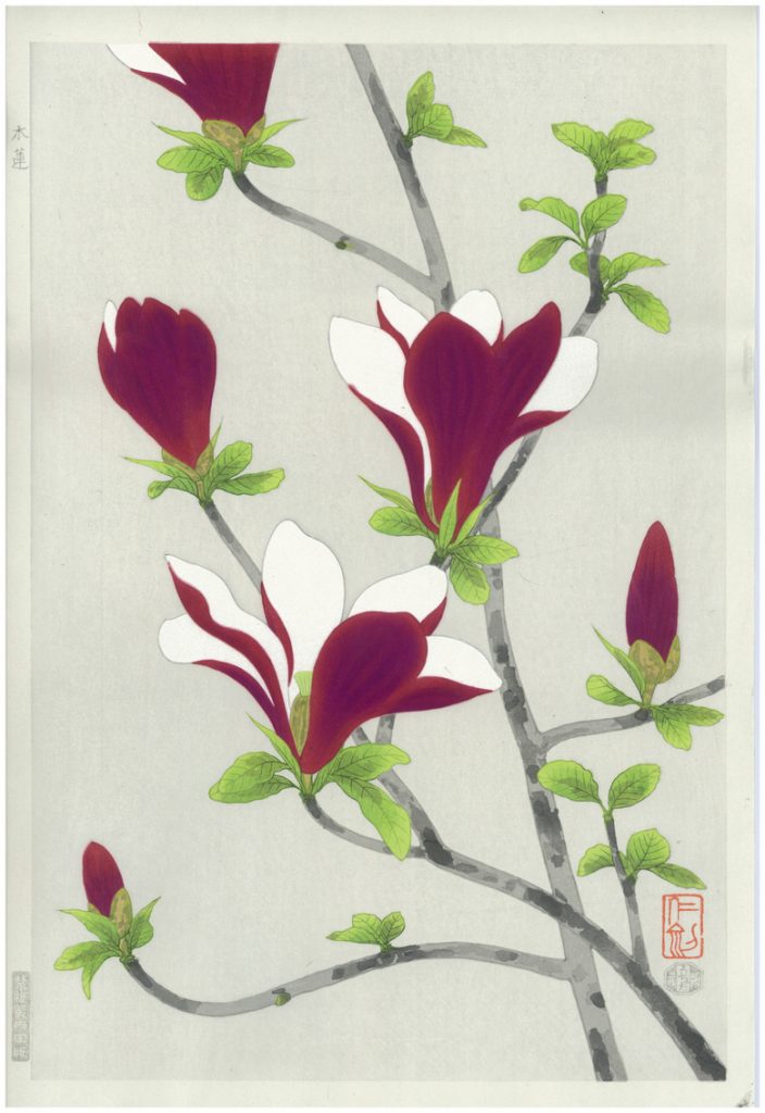 Nisaburo ITO Woodblock Magnolias