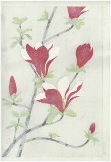 Nisaburo ITO Woodblock Magnolias
