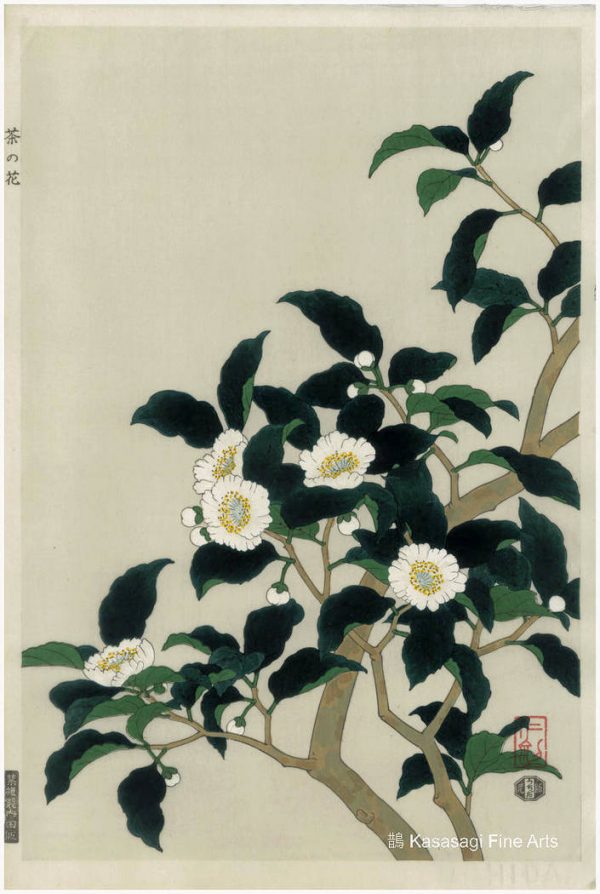Nisaburo ITO Woodblock Tea Tree Flowers