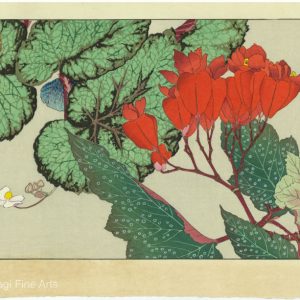 Begonia Woodblock Print by Kounan Tanigami