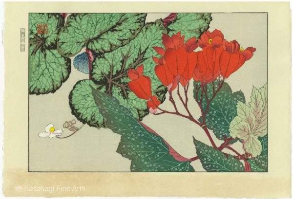 Begonia Woodblock Print by Kounan Tanigami