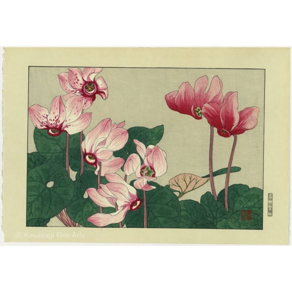 Cyclamen Woodblock Print by Kounan Tanigami