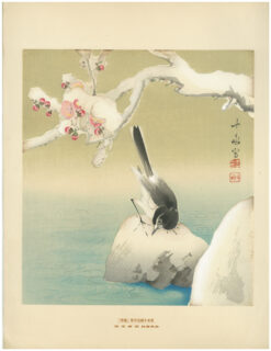 Original Araki Botanical Japanese Woodblock Print