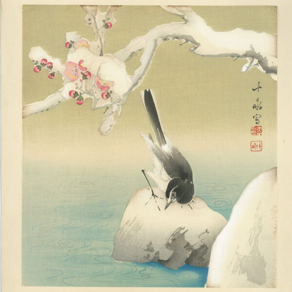 Original Araki Botanical Japanese Woodblock Print