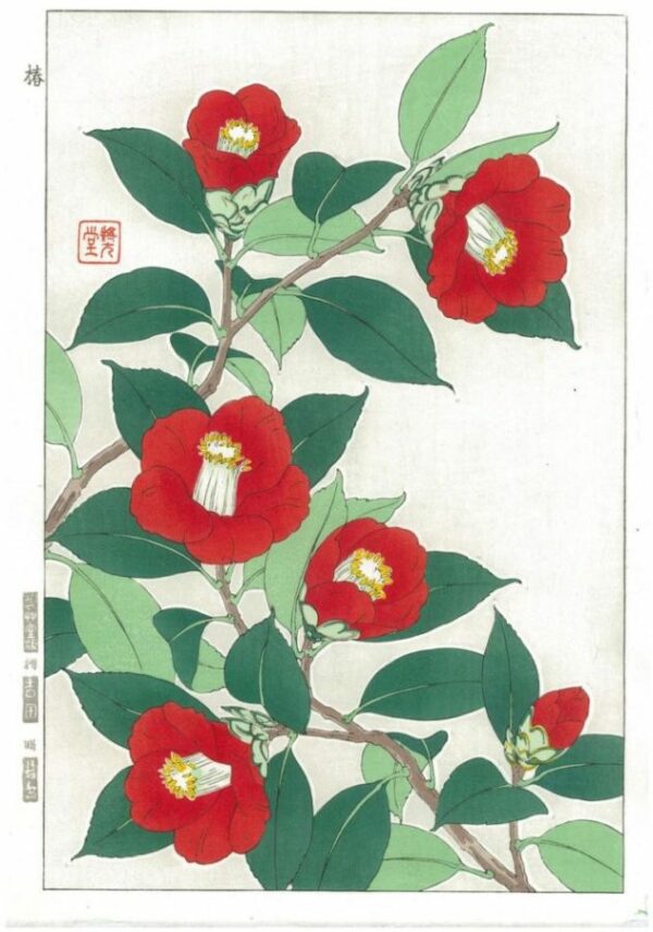 Kawarazaki Shodo Spring Flowers Red Camellias Woodblock Print