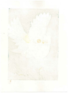 Fu Takenaka Woodblock Print Owl 2