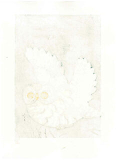Fu Takenaka Lifetime Woodblock Print Owl 3