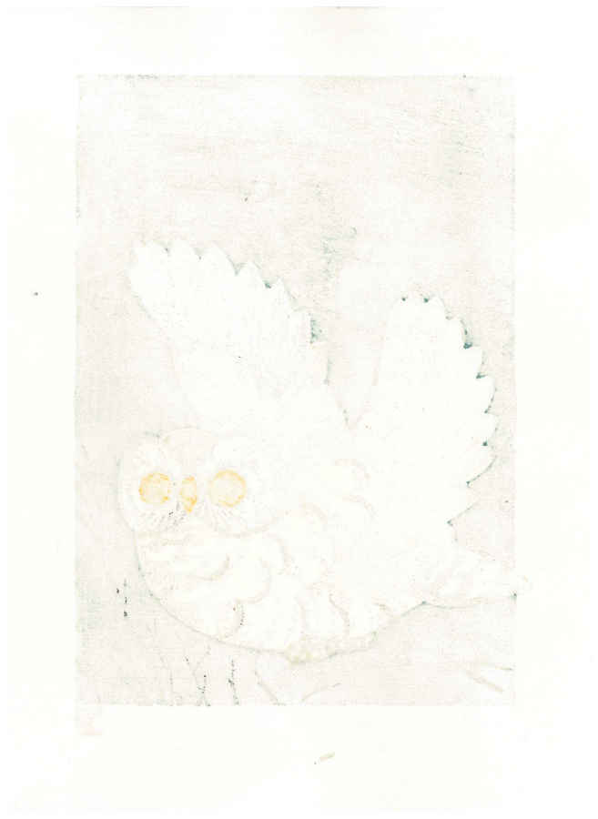 Fu Takenaka Woodblock Print Owl 3