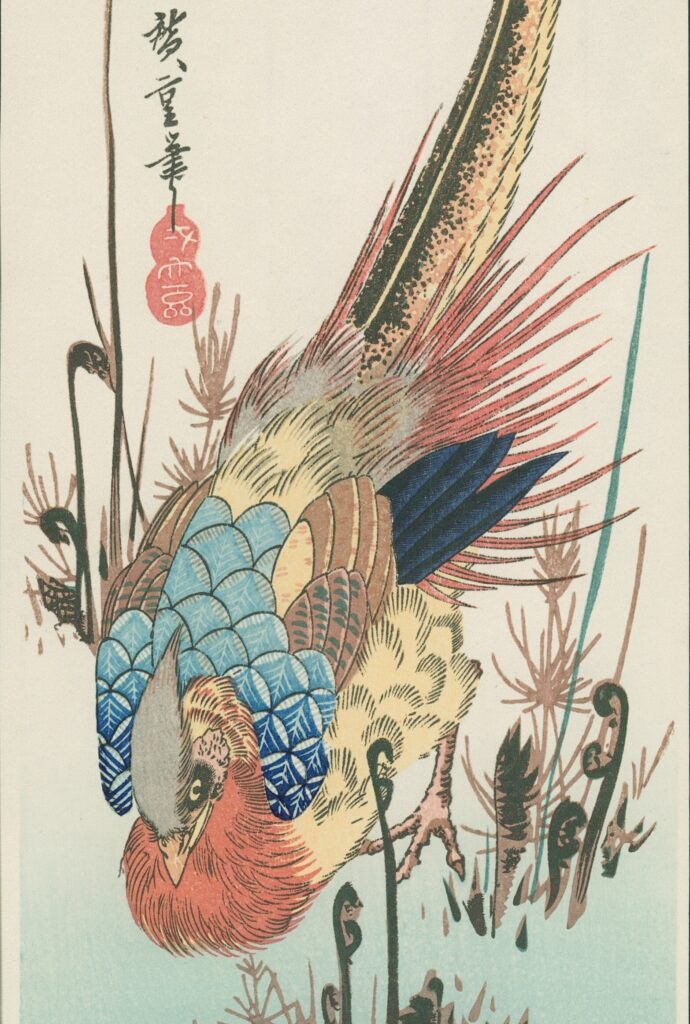 Hiroshige Woodblock Golden Pheasant in Bracken