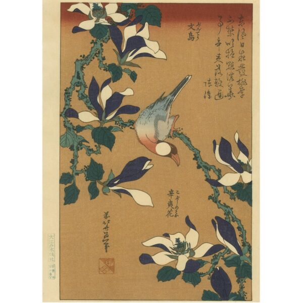 Hokusai Woodblock Java Sparrow And Magnolia