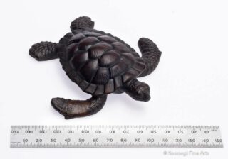 Old Japanese Turtle