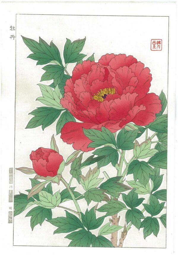 Kawarazaki Shodo Red Peony Woodblock Print