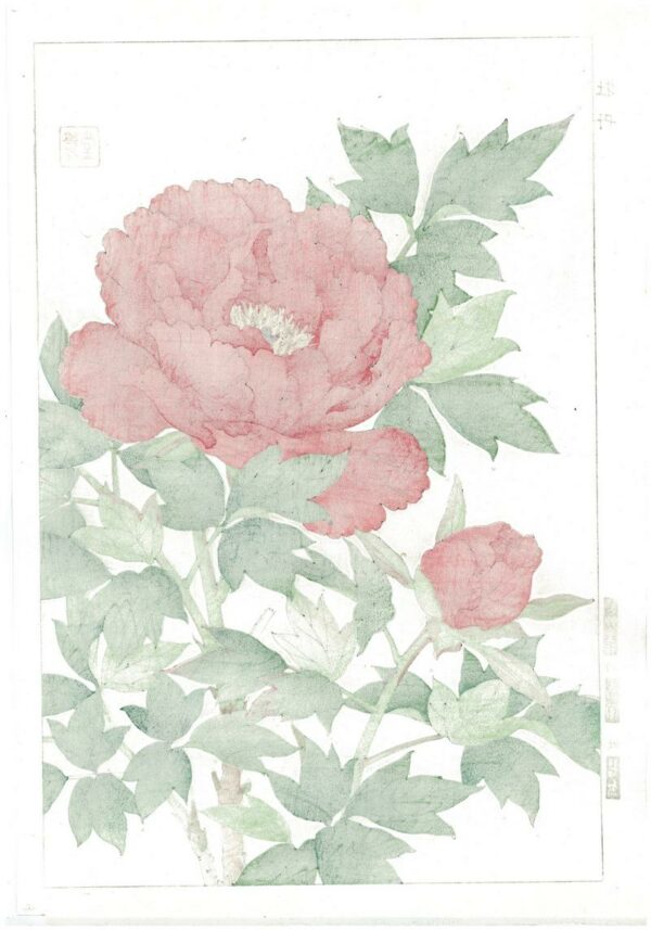 Shodo Kawarazaki Spring Flower Red Peony Woodblock Print