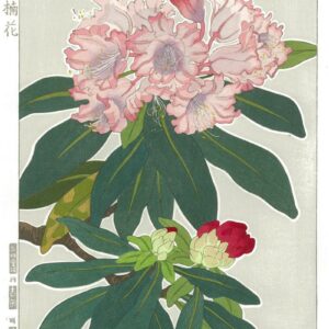 Teru Kuzuhara Spring Flowers Rhododendron Woodblock Print