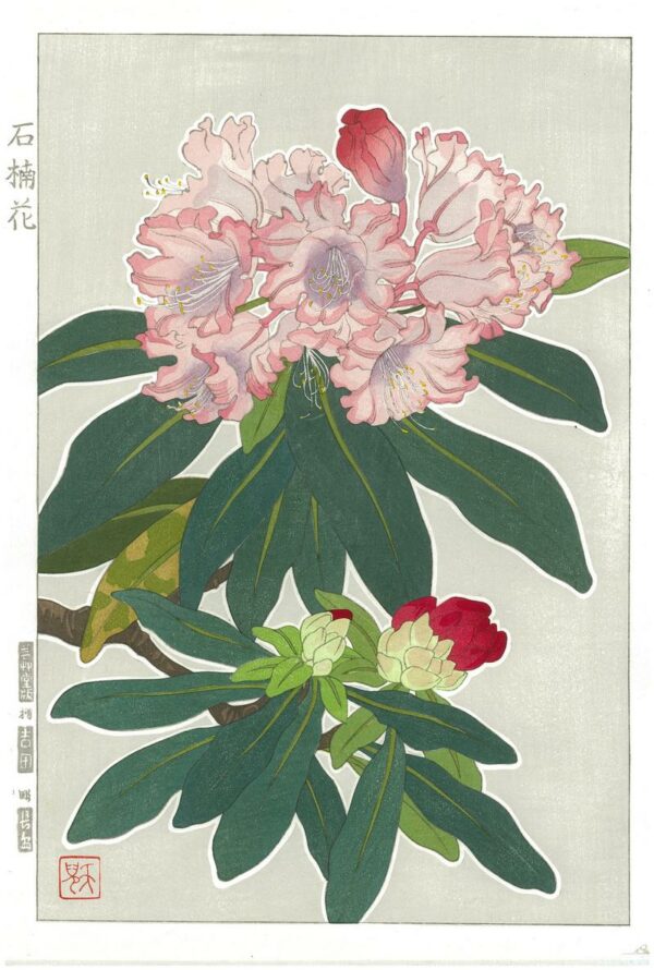 Teru Kuzuhara Spring Flowers Rhododendron Woodblock Print