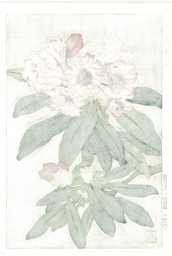 Teru Kuzuhara Spring Flower Rhododendron Woodblock Print