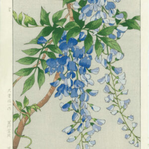 Yuichi Osuga Spring Flowers Wisteria Woodblock Print