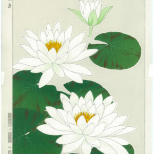Shodo Kawarazaki Spring Flowers Suiren Woodblock Print