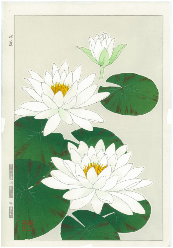 Shodo Kawarazaki Spring Flowers Suiren Woodblock Print