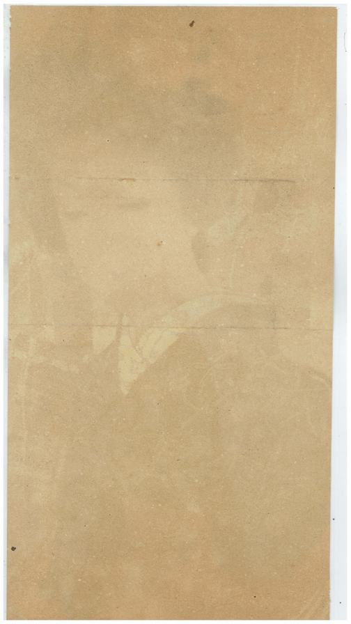 verso of Lithograph of Beautiful Woman 1